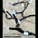 Χριστουγεννιάτικα 100Led Λευκό Επέκτασης Μετ/ης Πρασ. Καλωδιο