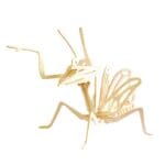 Ξύλινο 3D πάζλ αλογάκι της παναγίας JP202, 26τμχ