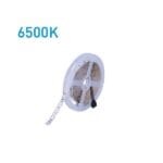 Tαινία Αυτοκόλλητη 60LED/M 10W 6500K IP54