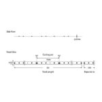 Tαινία Αυτοκόλλητη 60L/12V/14.4W RGB IP20